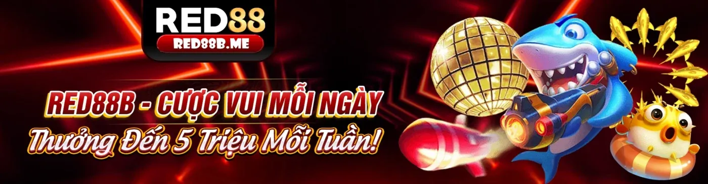 Người chơi đang đăng nhập Oxbet một cách có trách nhiệm