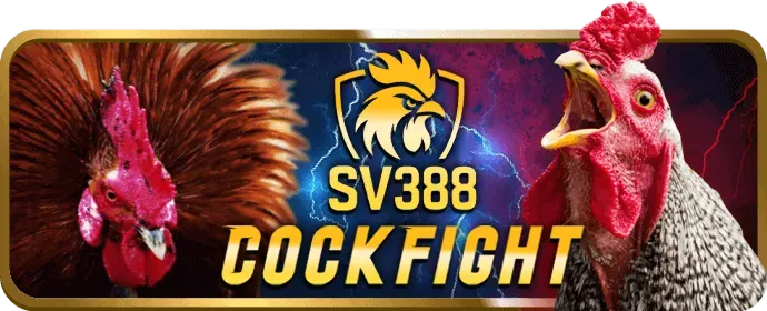 Bước 2: Điền thông tin đăng ký Oxbet